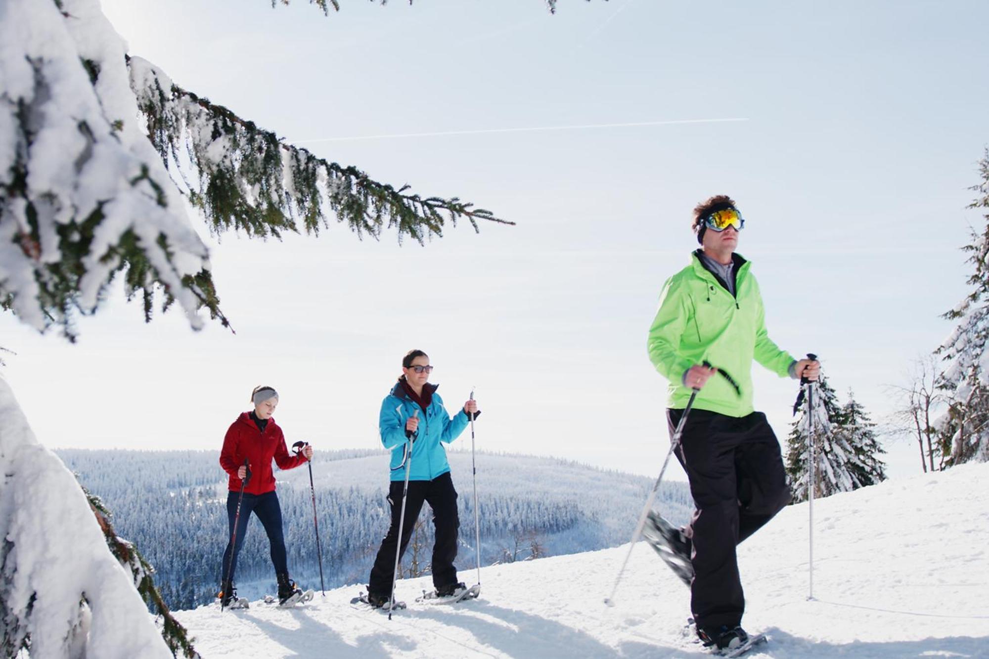 Ahorn Hotel Am Fichtelberg Oberwiesenthal Εξωτερικό φωτογραφία